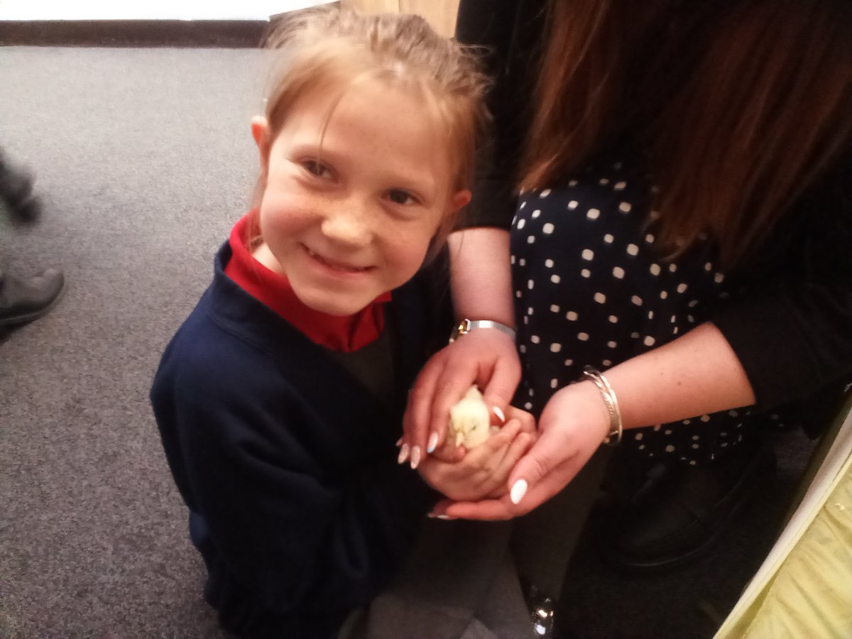WBJYear4's tweet photo. A snapshot of Spring learning ⭐ @WBJJuniorSchool https://t.co/8gABBZmPPv