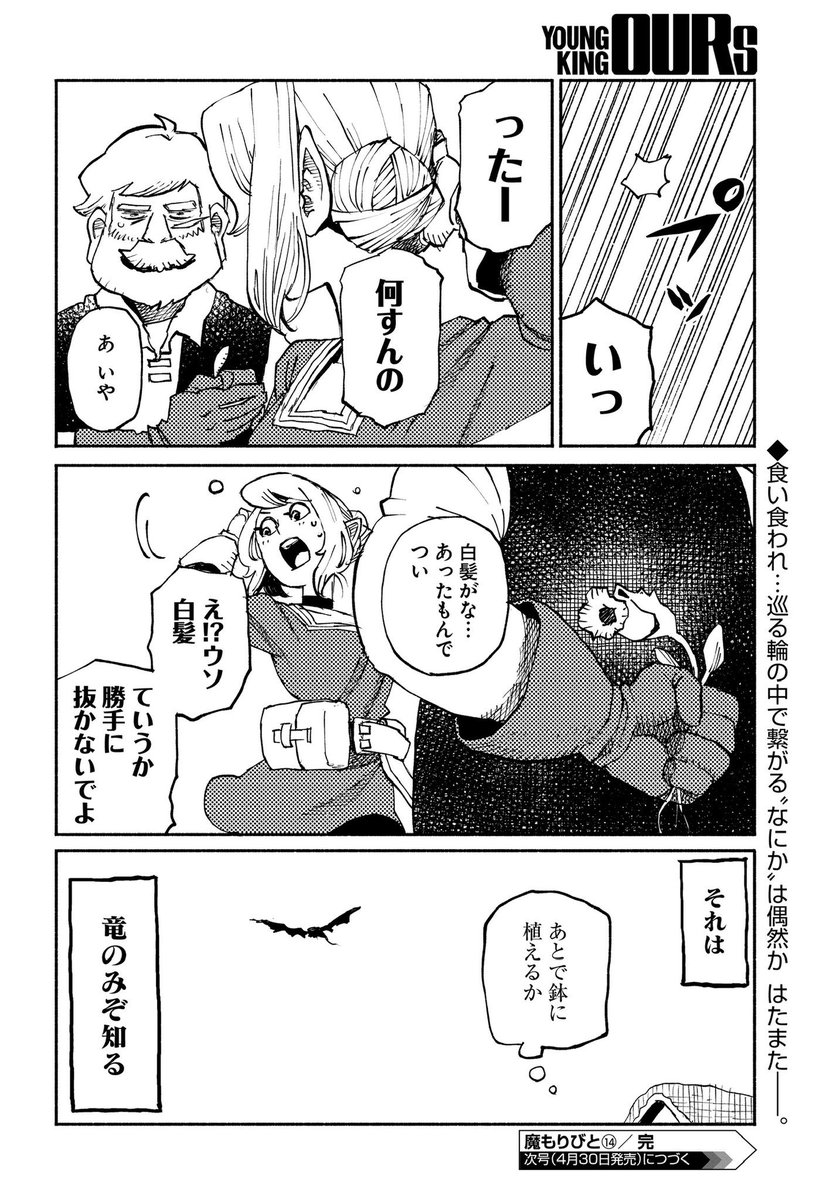 (6/6) 
