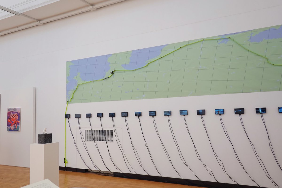 梅ラボ tweet media