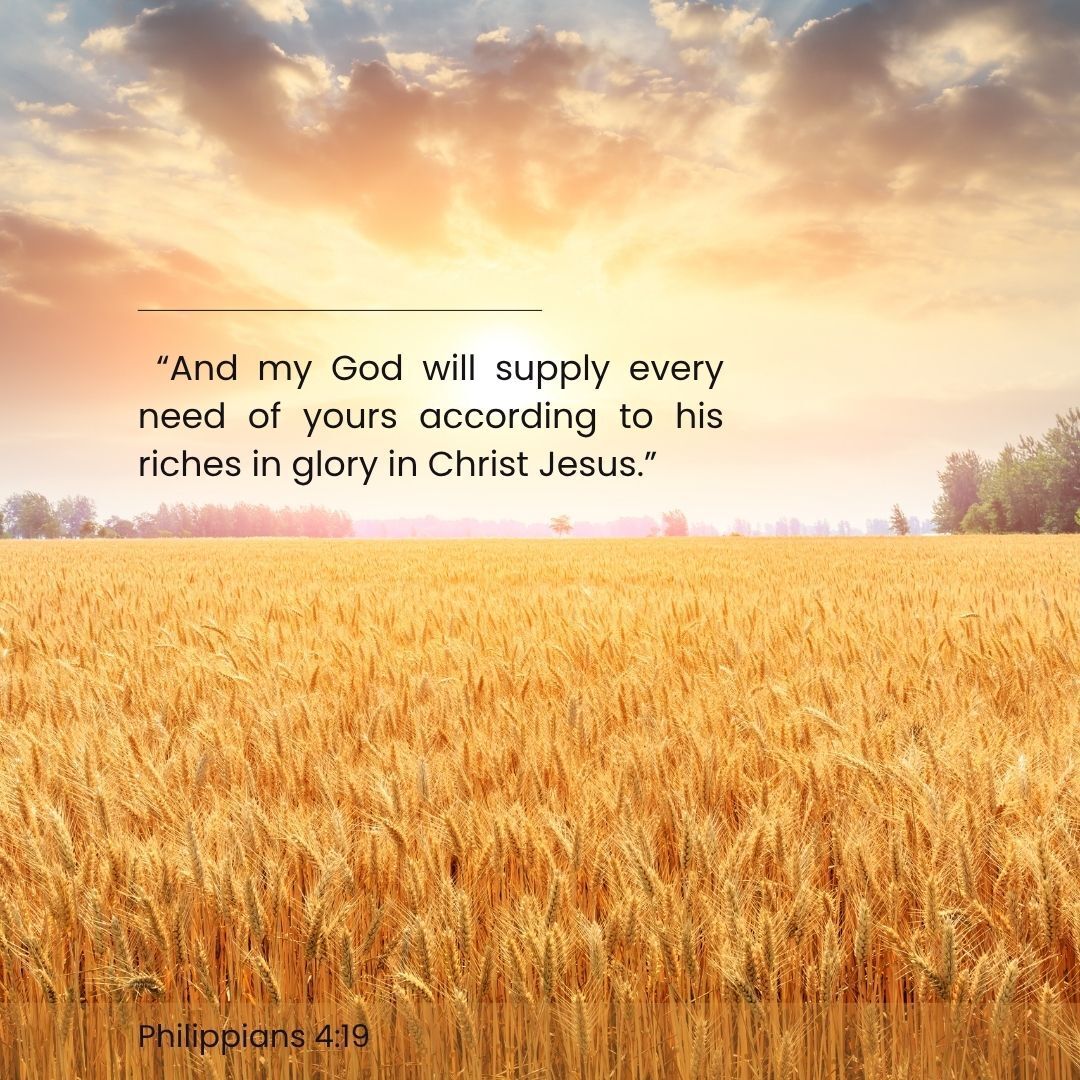 childaidrr's tweet image. “And my God will supply every need of yours according to his riches in glory in Christ Jesus.”Philippians 4:19
May this truth bring peace, strength, and reassurance today. 💛

#Philippians419 #Faith #TrustGod #Prayer #Hope #Jesus