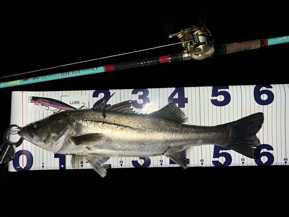 ゆうた tweet media