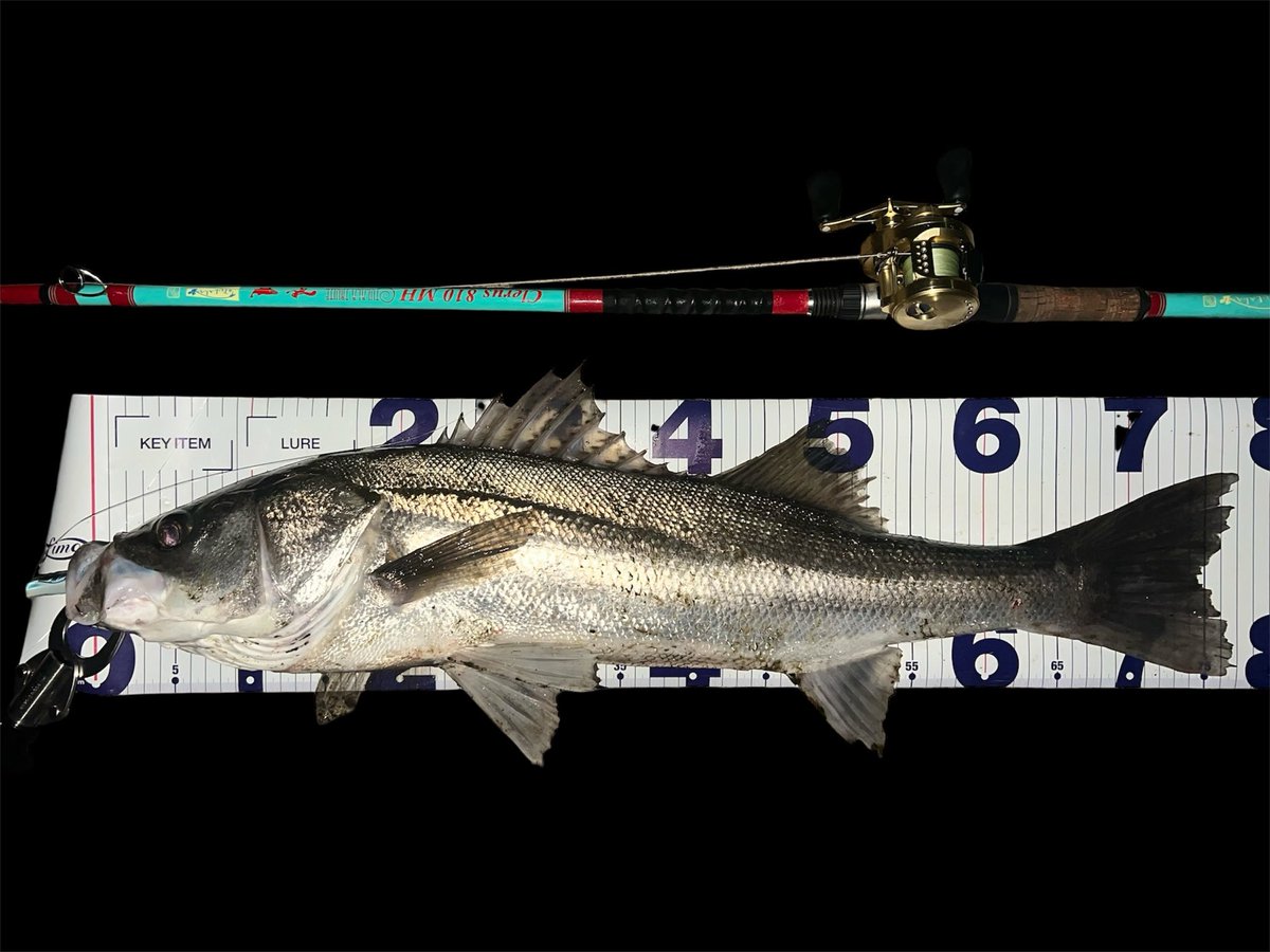 ゆうた tweet media