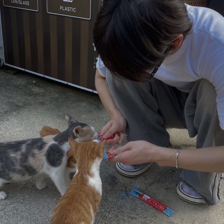 许, LEANNE. tweet media