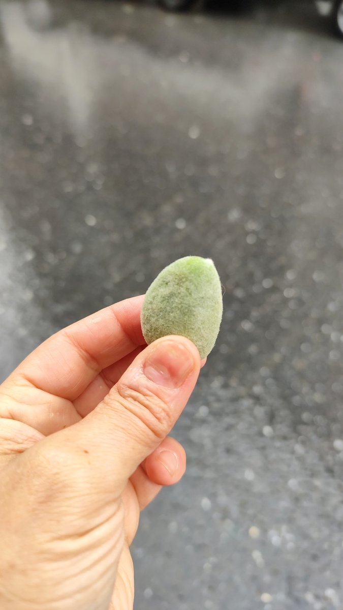 küçük dünyam tweet media