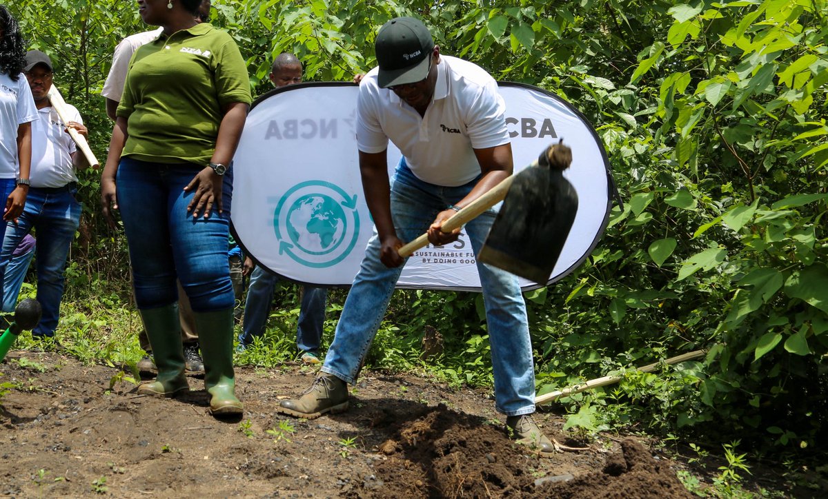 Media Age tweet media