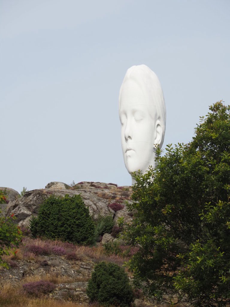 ModRules 🇪🇸 tweet media