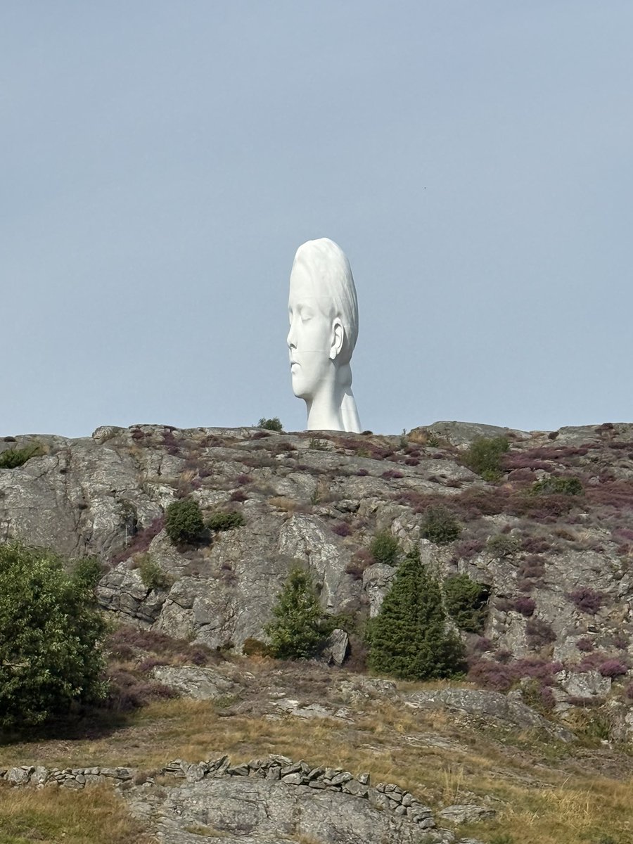 ModRules 🇪🇸 tweet media