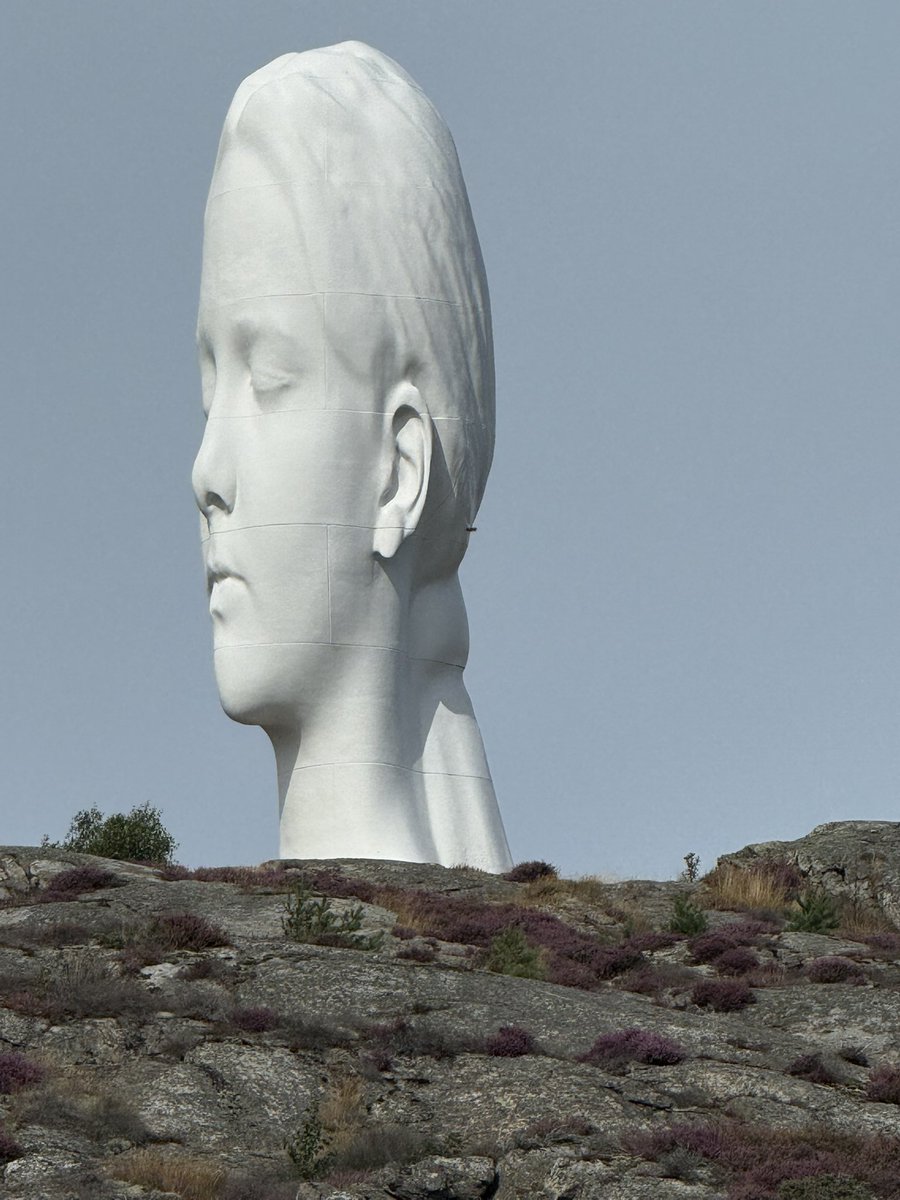 ModRules 🇪🇸 tweet media