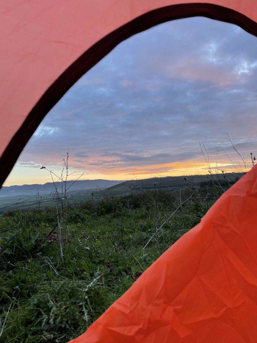 миша изнанкин 📡 tweet media