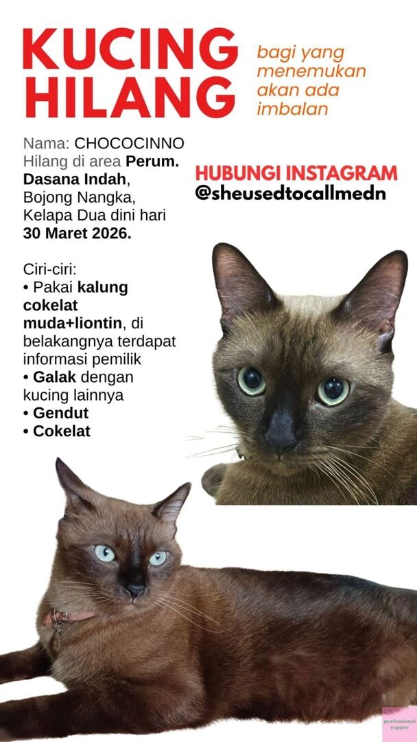 YAPPINGFESS tweet media