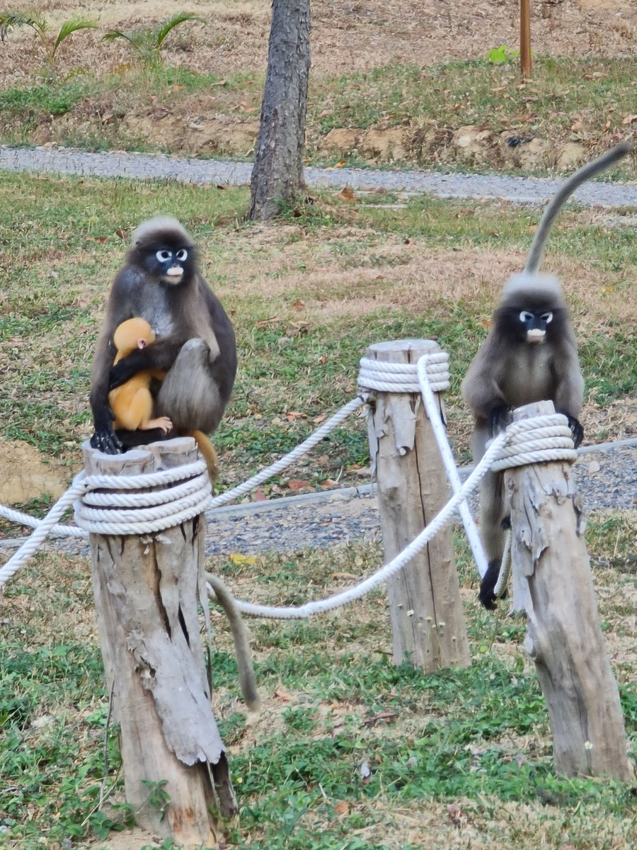 พี่โยพาเที่ยว tweet media