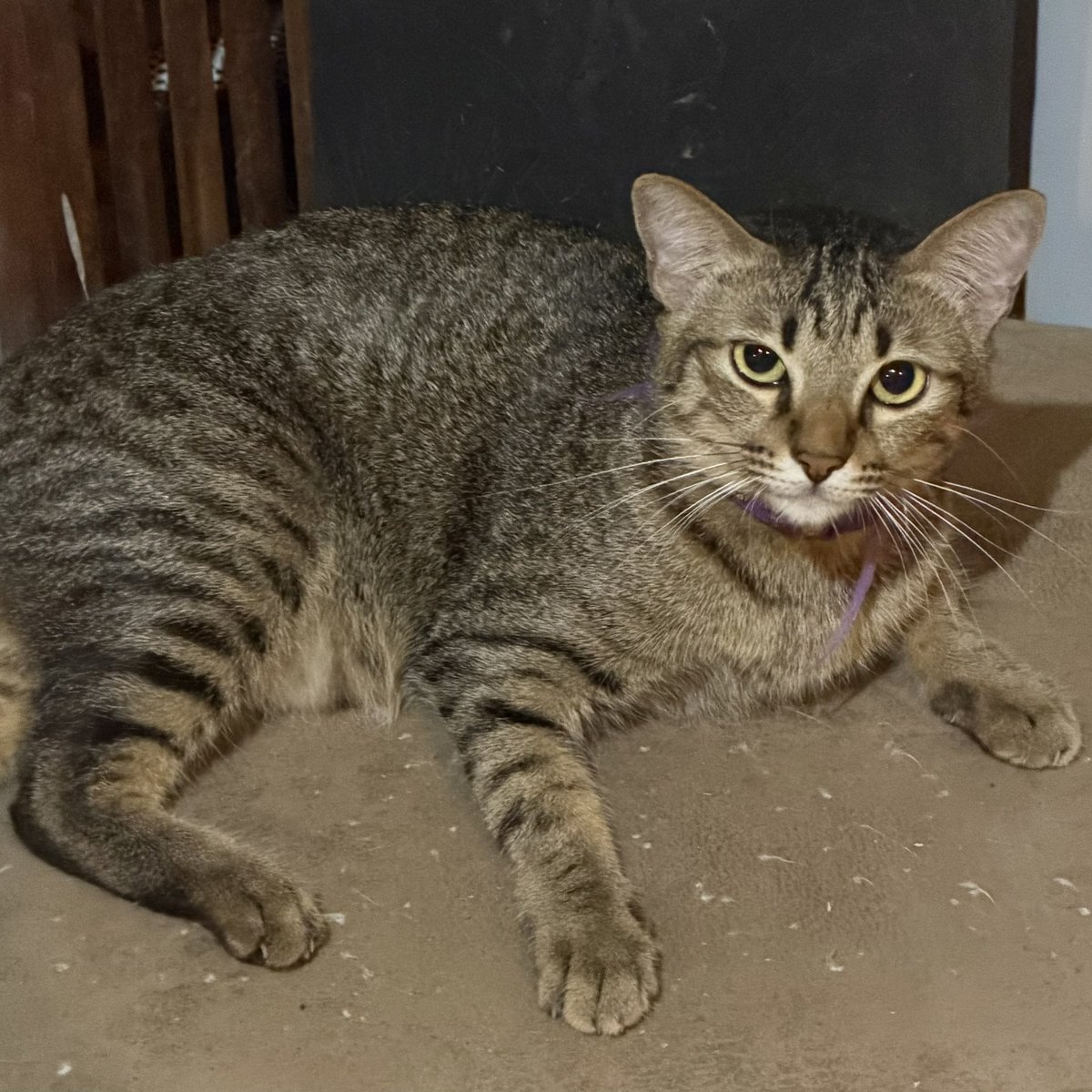 💃🏻 tweet media