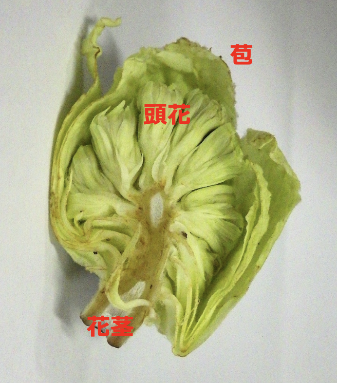 福井県立大学生物資源学部生物資源学科 tweet media