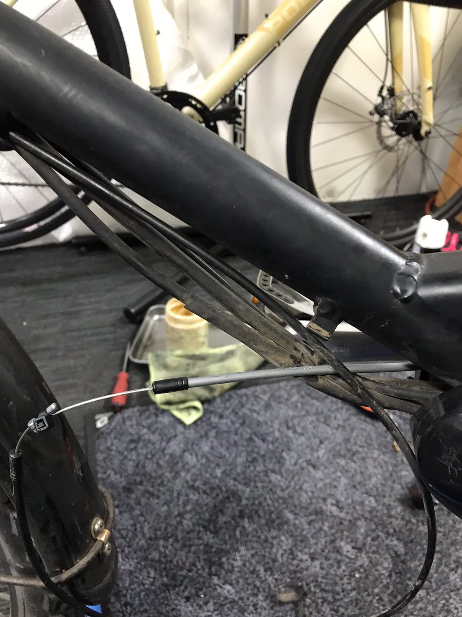 エクセ バイシクル (サイトウ) tweet media