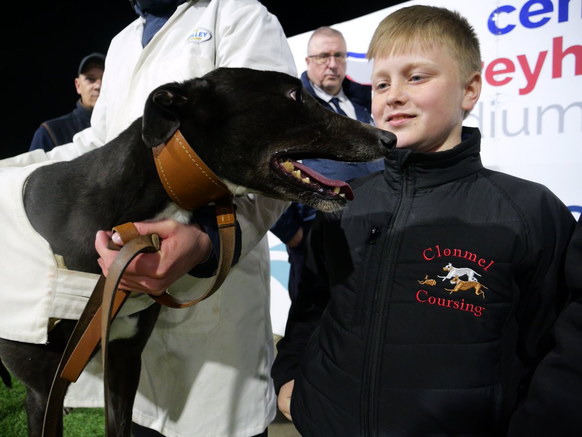 Central Park Stadium tweet media