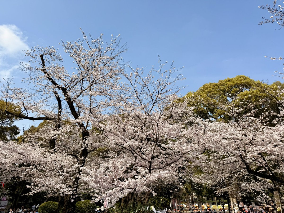 なだぎ武 tweet media