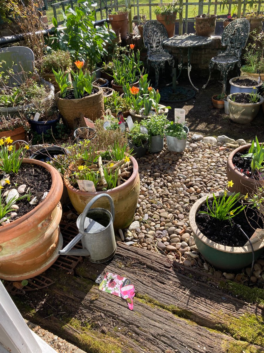 The Money Squirrel tweet media