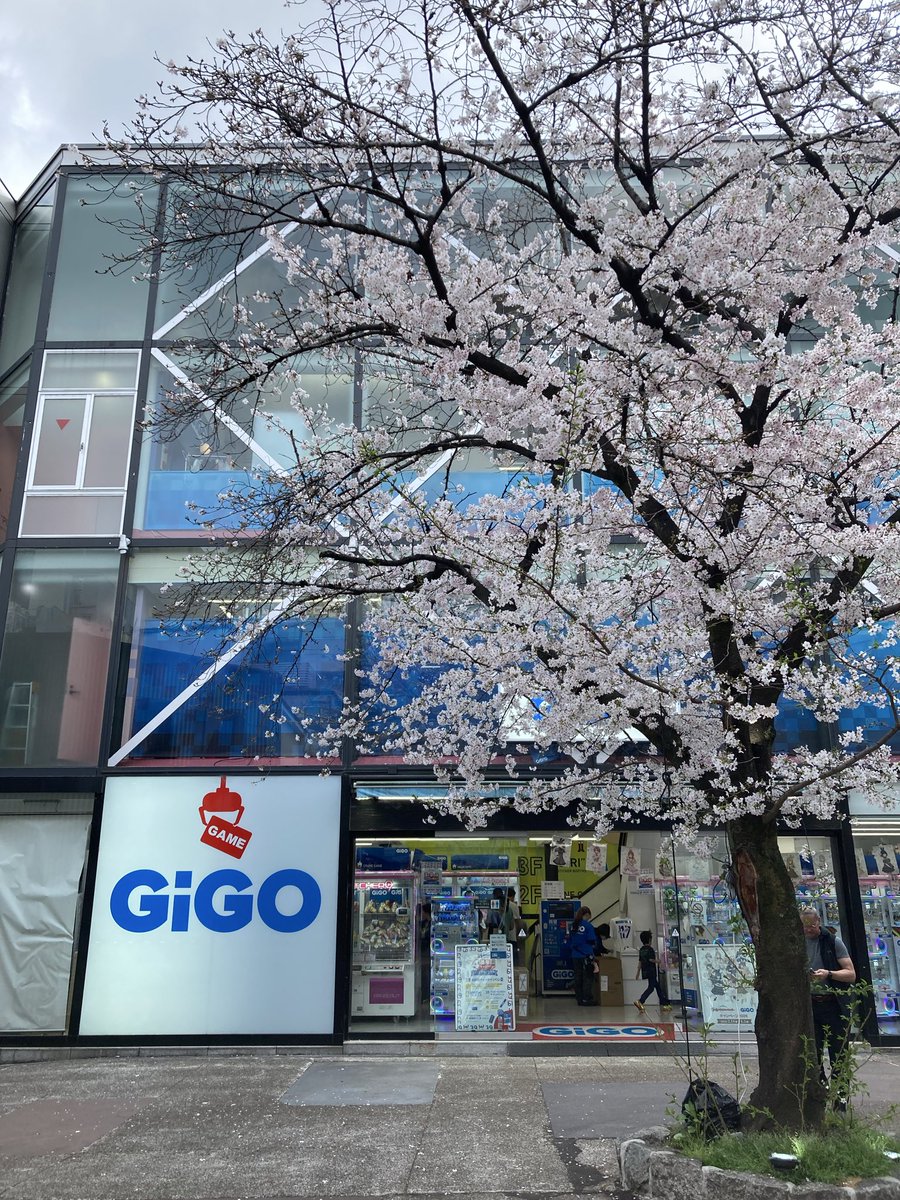 酒陶 柳野 tweet media