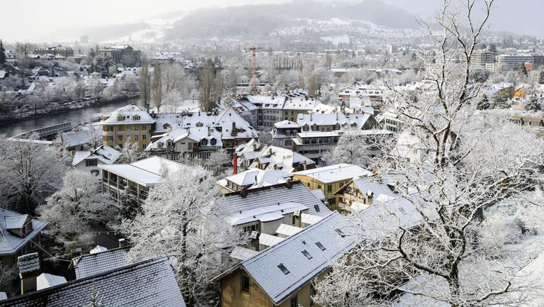 Roberto Binswanger tweet media