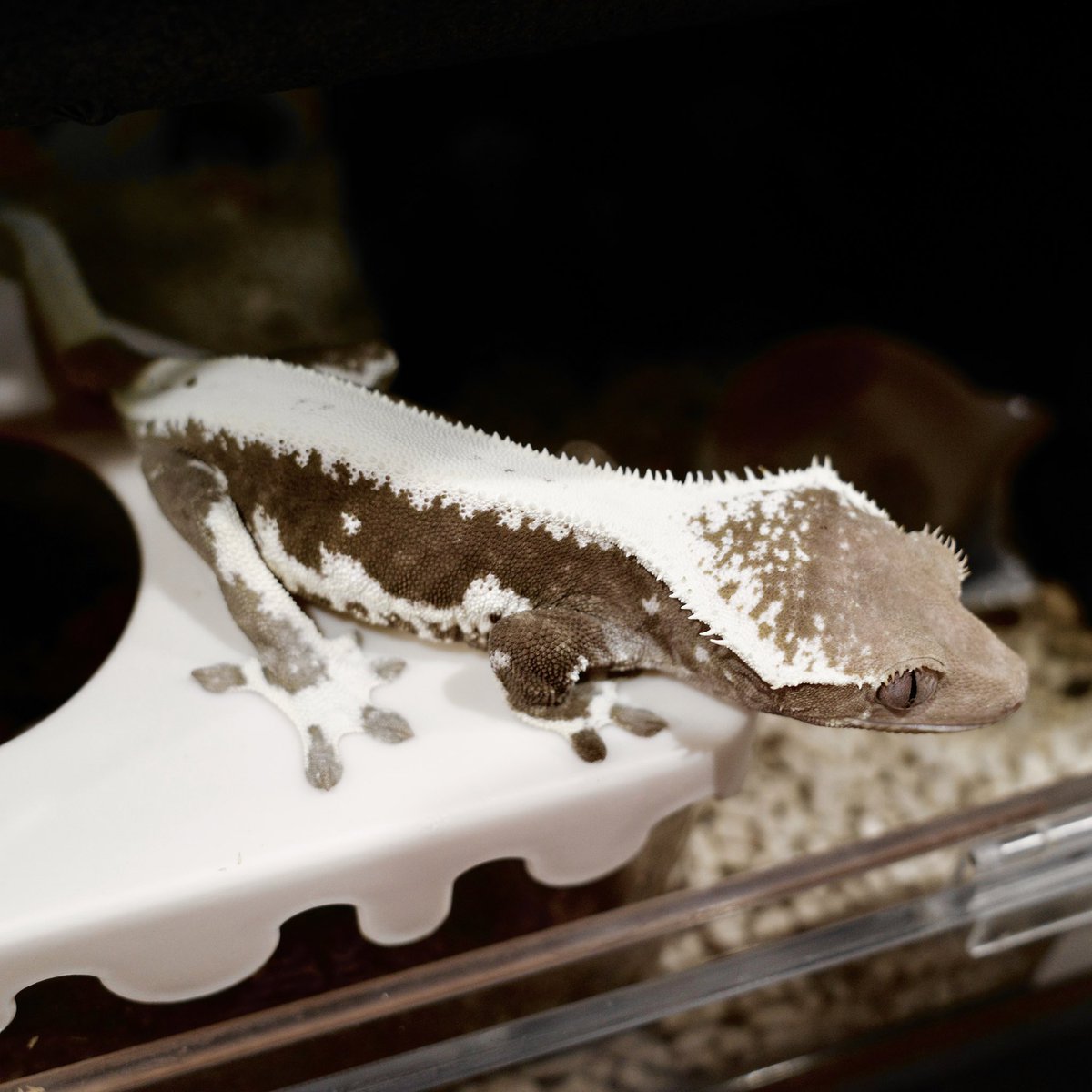 Mir J♥️ tweet media