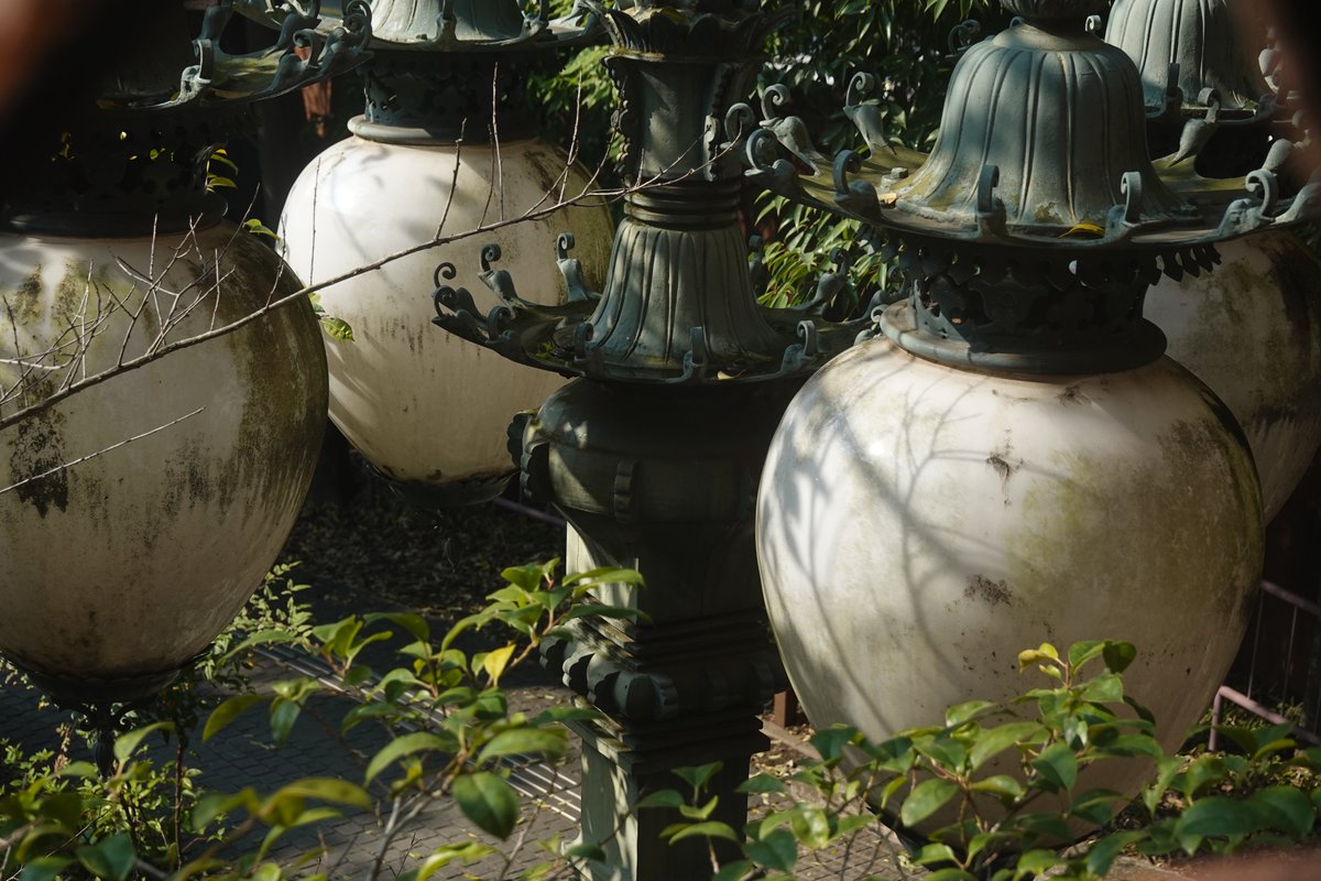 梅ラボ tweet media