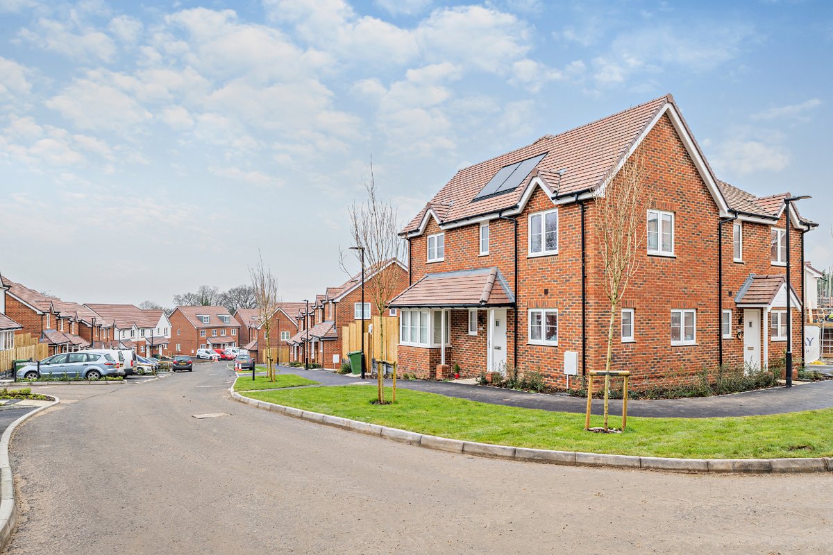 Love to Rent tweet media