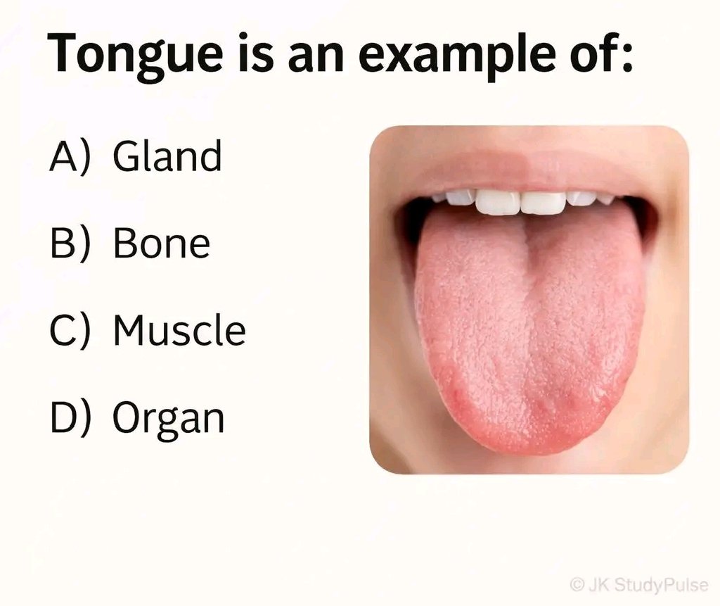 Insight GK Zone tweet media
