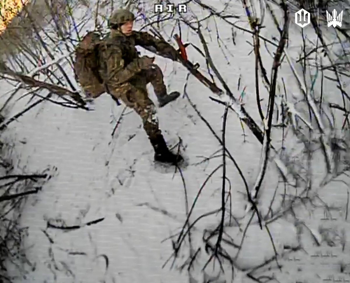 TheAbsoluteState tweet media