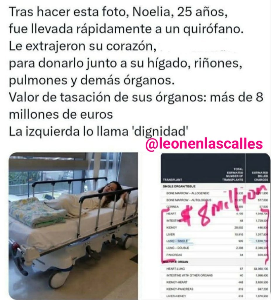 Ricardo Ferris León en las calles tweet media