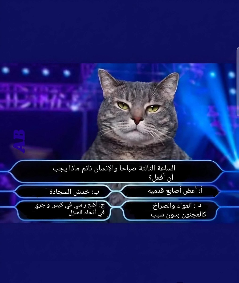 سعيد ♉️ tweet media