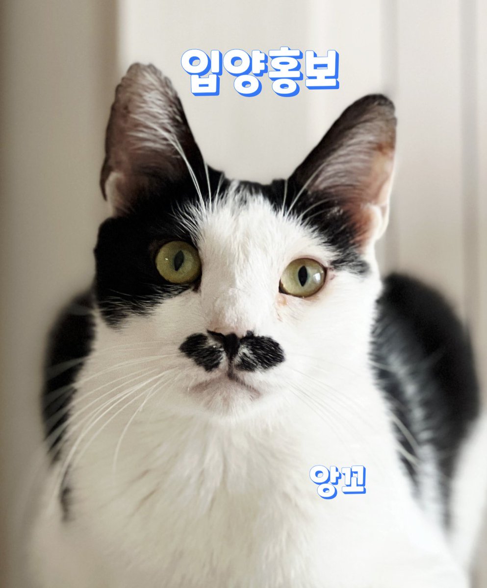 구리쉼터 tweet media