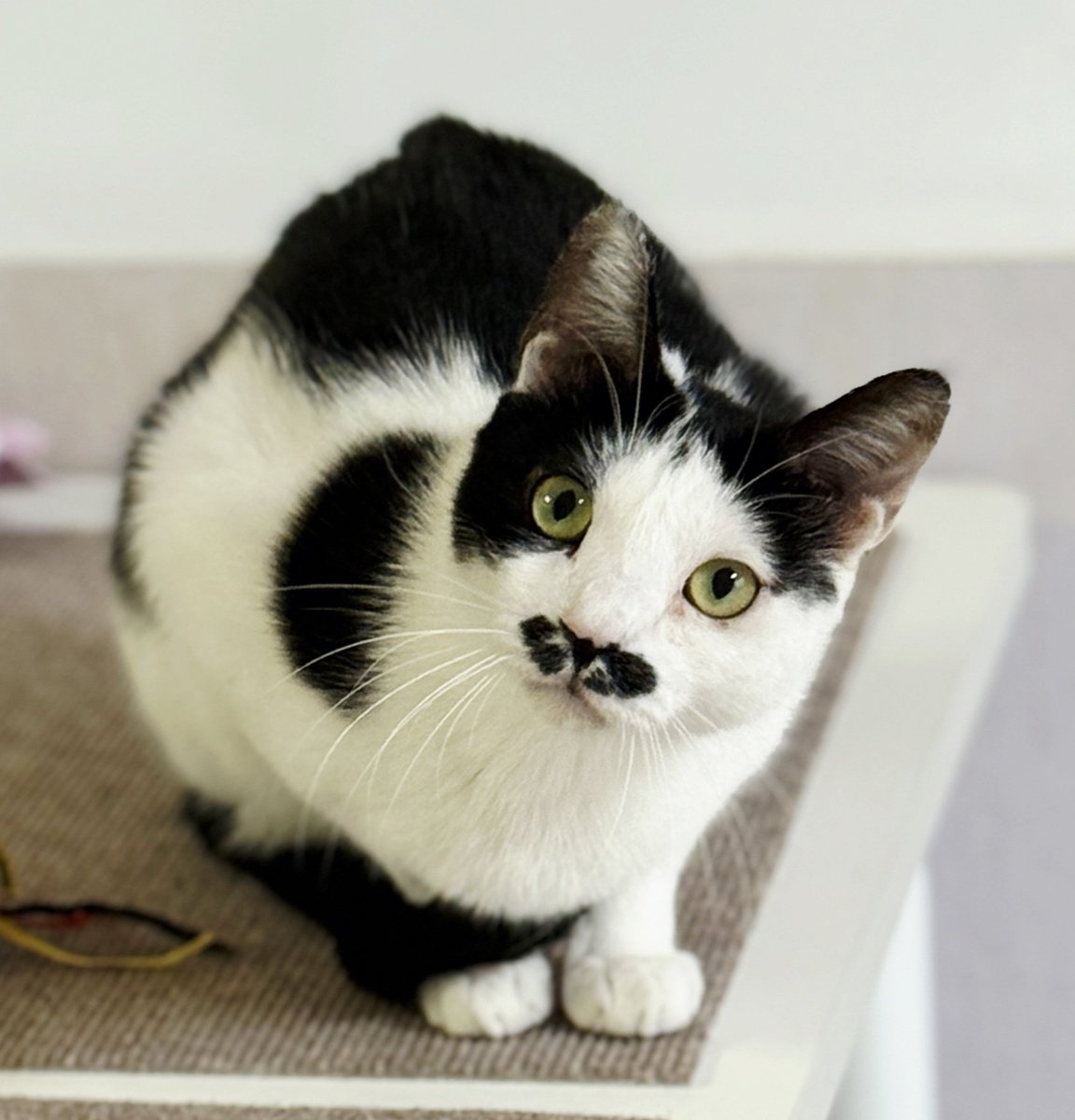 구리쉼터 tweet media