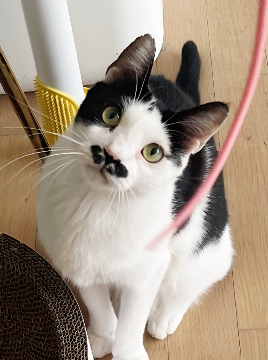 구리쉼터 tweet media