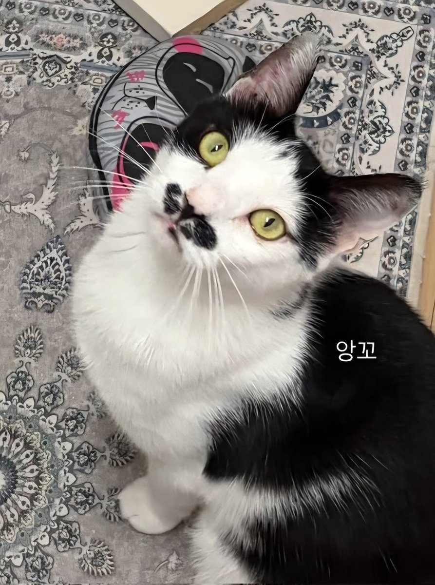 구리쉼터 tweet media