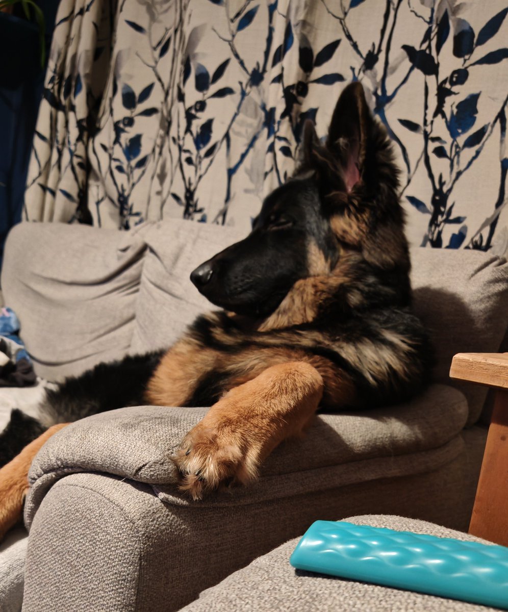 just a man out in the real world. tweet media