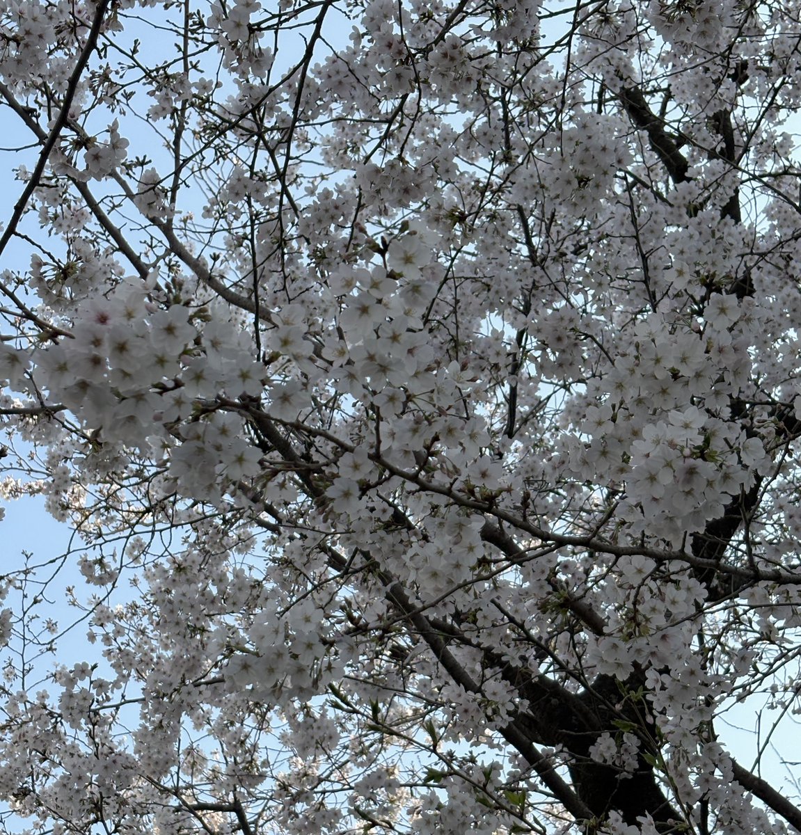 とも☺︎ tweet media