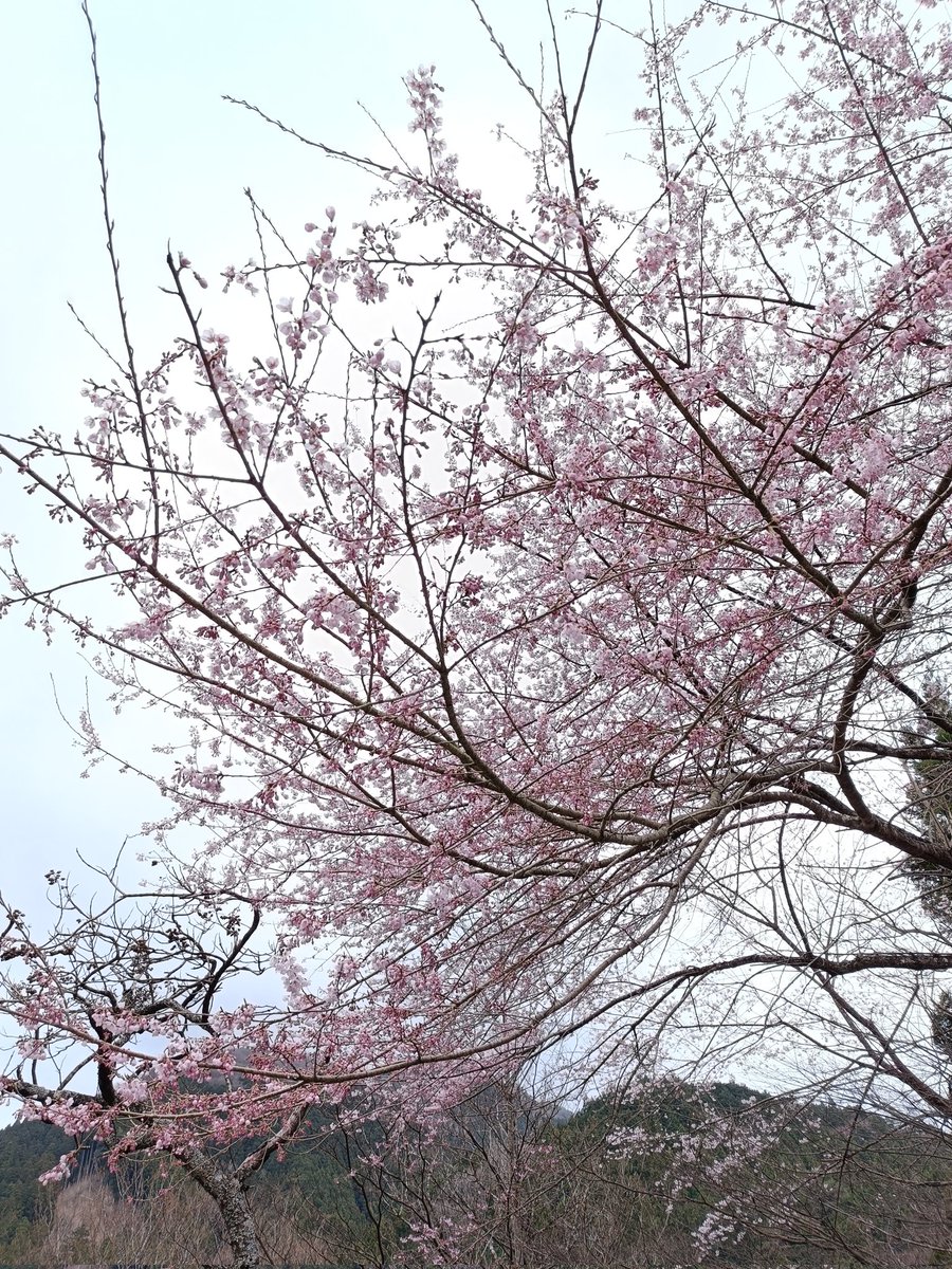 Nickです tweet media