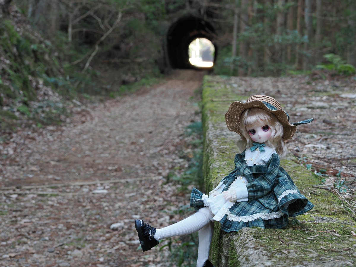 テッド tweet media