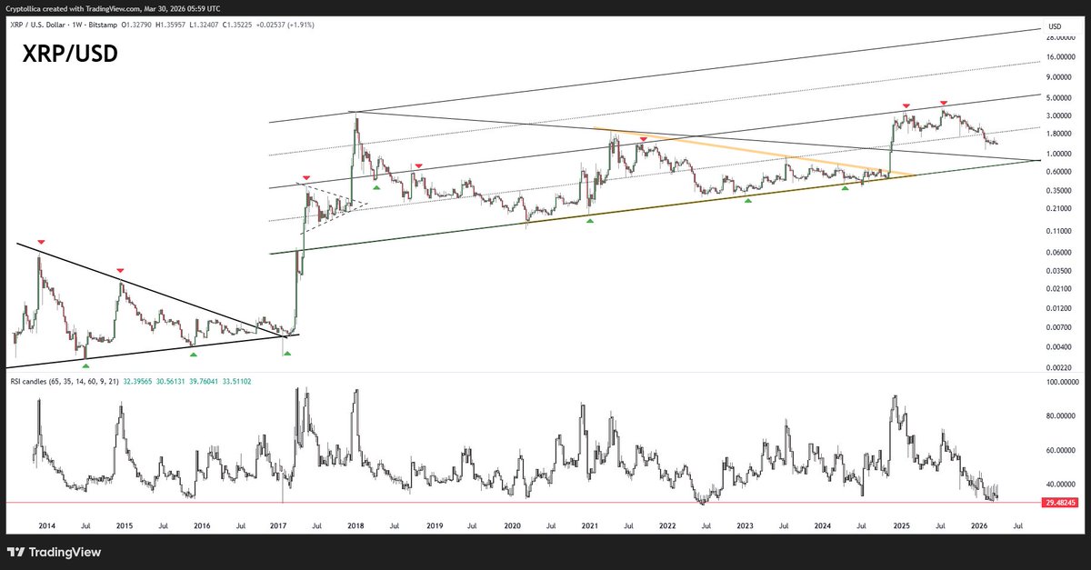 Cryptollica⚡️ tweet media