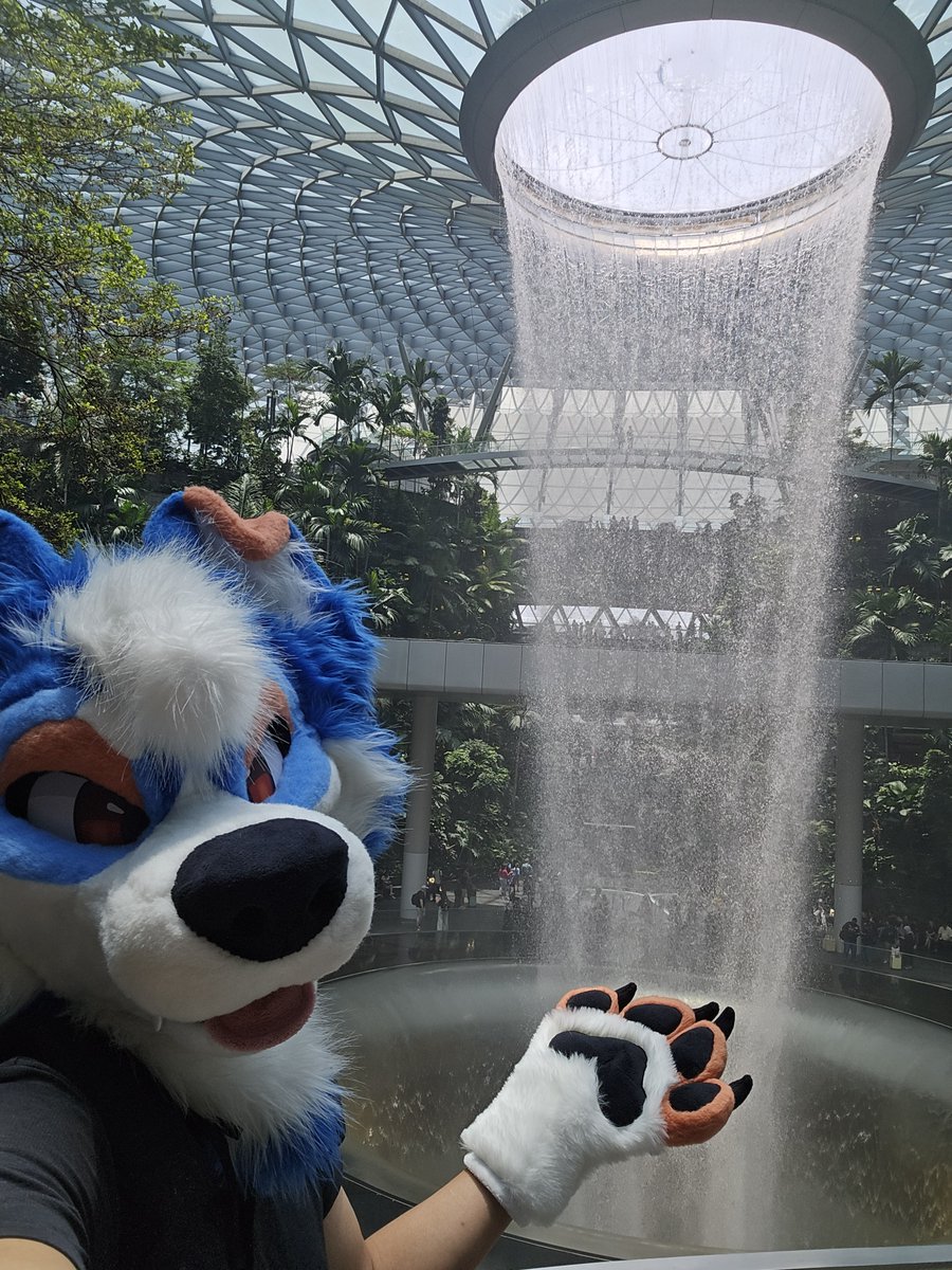 Zashi Washi 🔜 ThaiTails tweet media