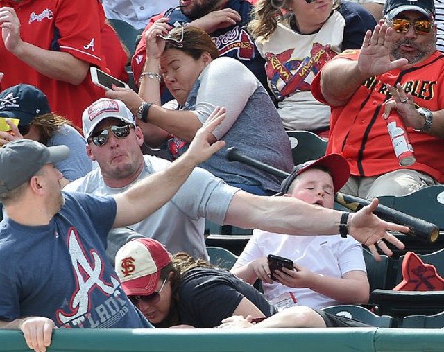 有栖とテレス tweet media