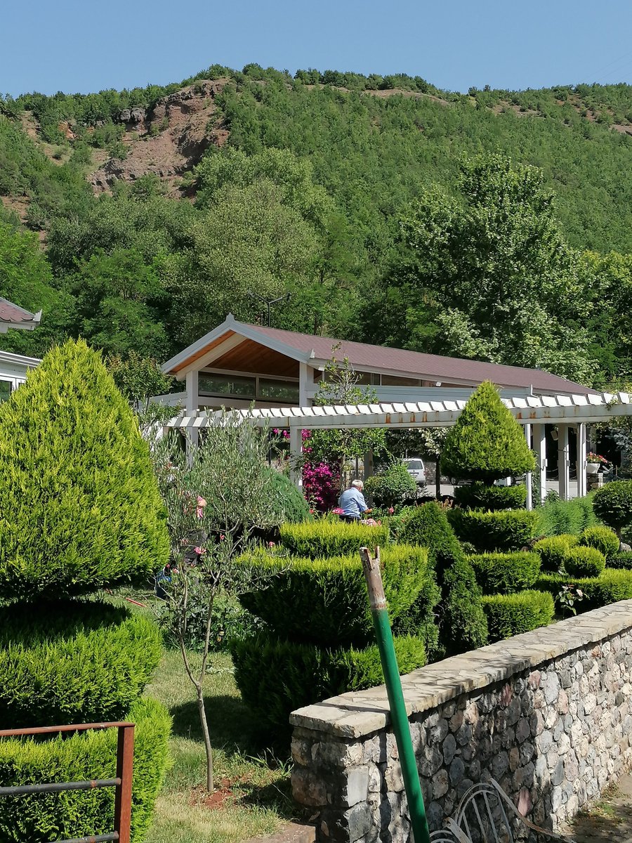 manuelima tweet media