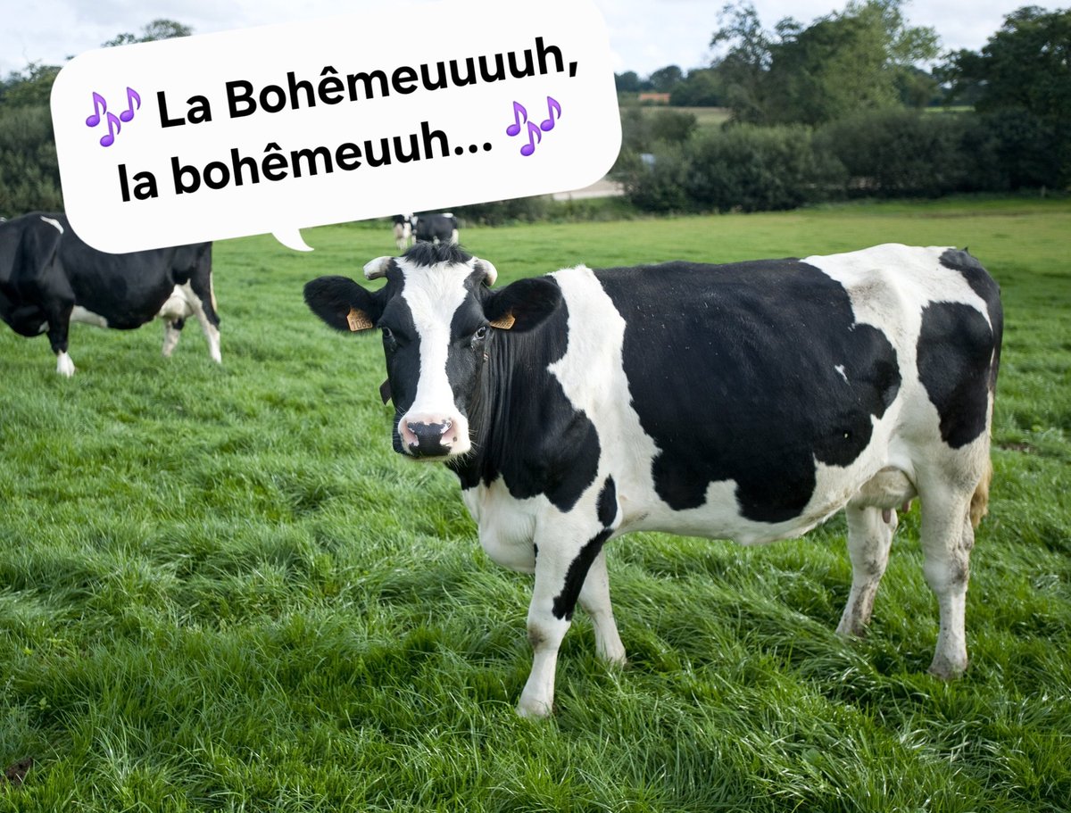 Un_air_de_joke's tweet photo. Si les vaches pouvaient chanter...
#RetirezMoiPhotoshop https://t.co/VuyoN7SIw8