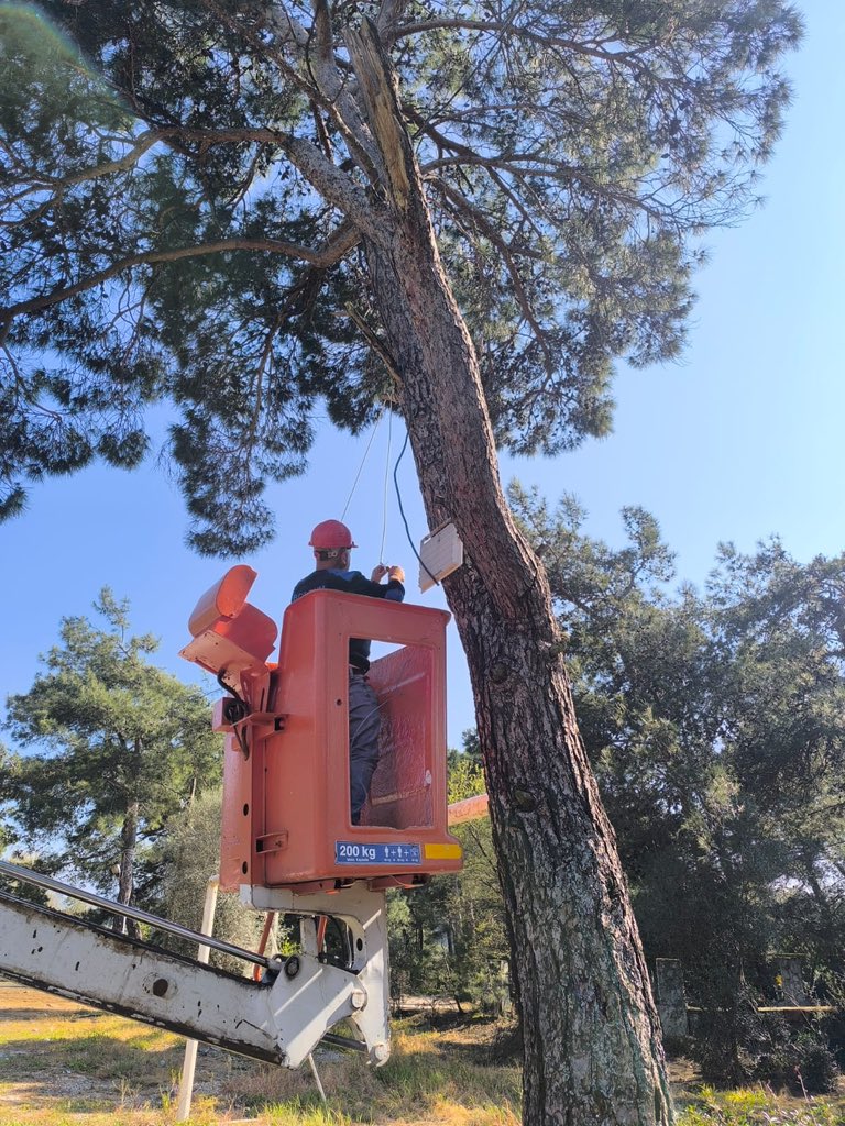 Bodrum Belediyesi tweet media