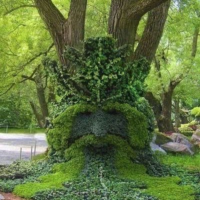 青谷高志 tweet media