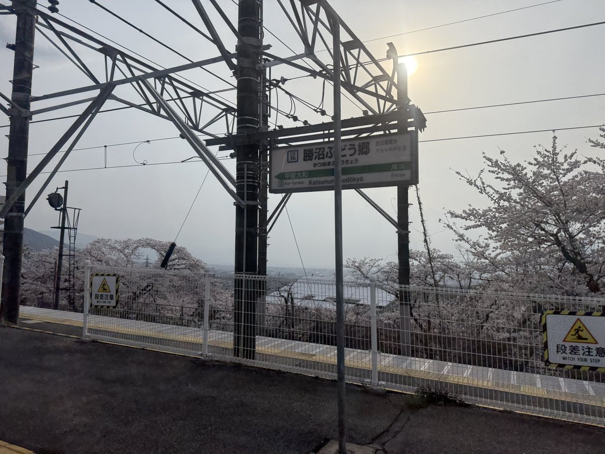 ゐわむら tweet media