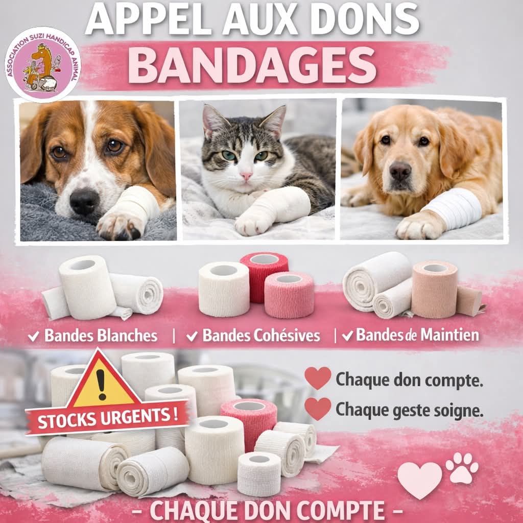 Adea Claude tweet media