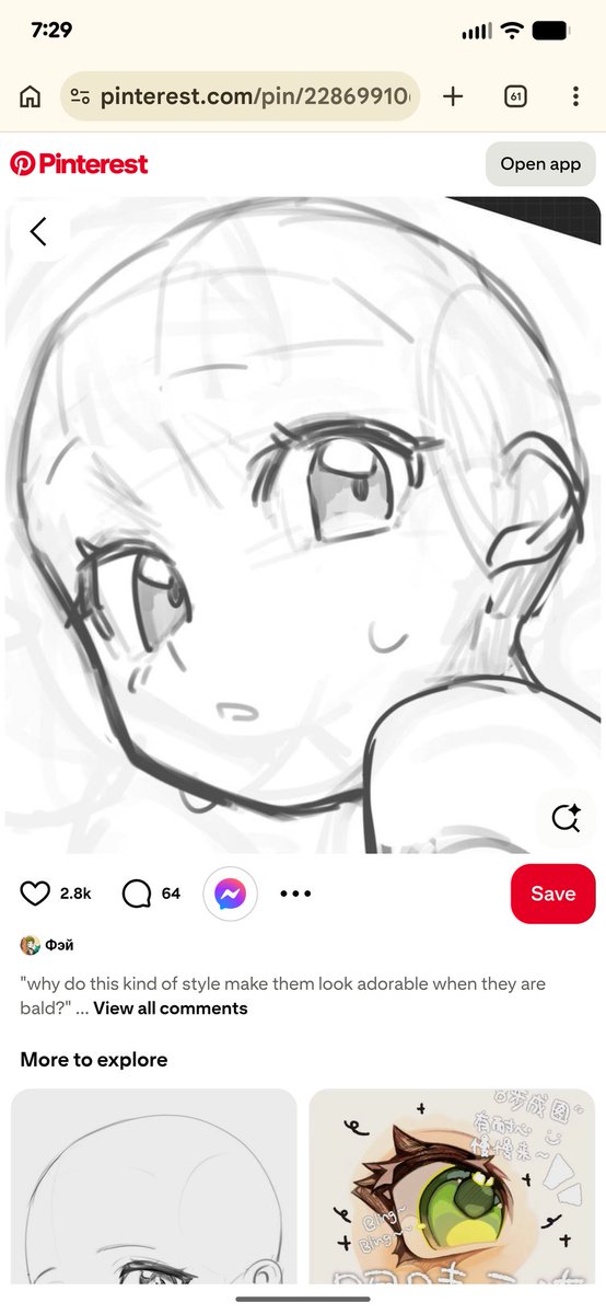 Shiba 🌱🐶 tweet media