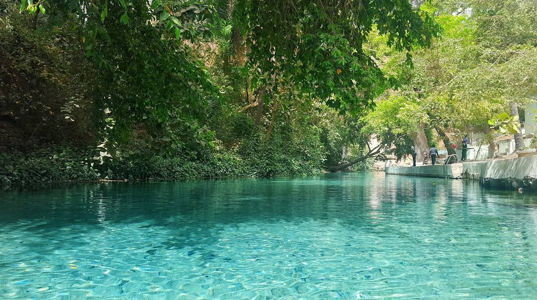 Abu bakar tweet media