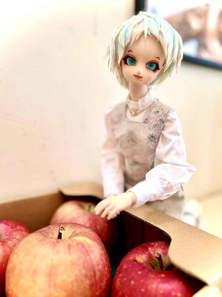 ざいまる@ドールとかぬいとか tweet media